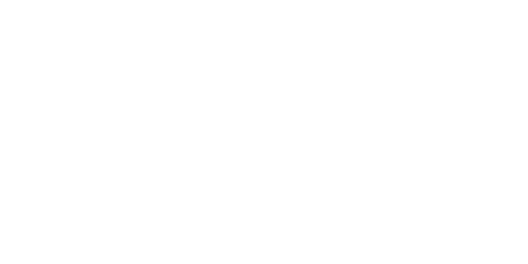 Falcon A.Ş.